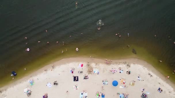 夏に川の岸で休んでいる人々のドローンからの空中の景色 — ストック動画