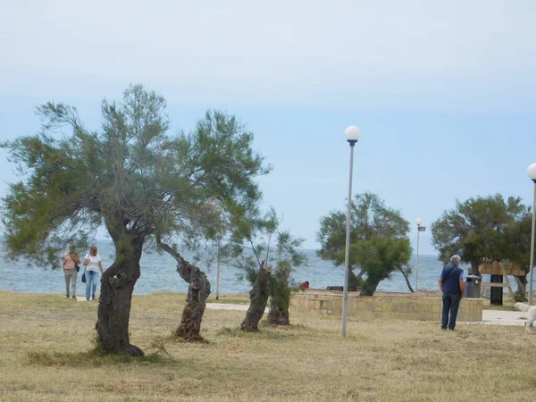 Μαρσάλα Σικελία Ιταλία Μαΐου 2017 Μερικοί Άνθρωποι Ένα Πάρκο — Φωτογραφία Αρχείου