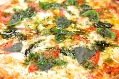 taze pizza margherita