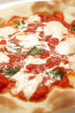 taze pizza margherita