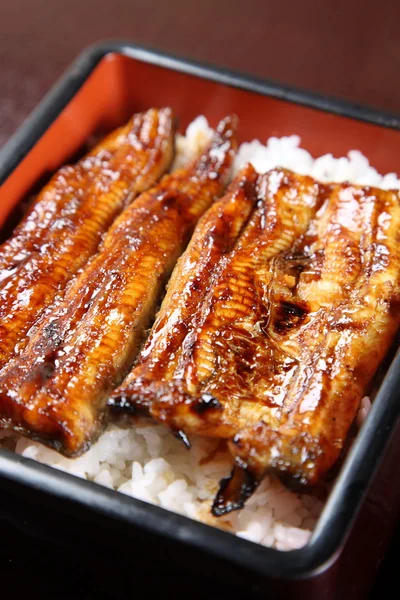 Stekt ål på ris "Unaju" — Stockfoto