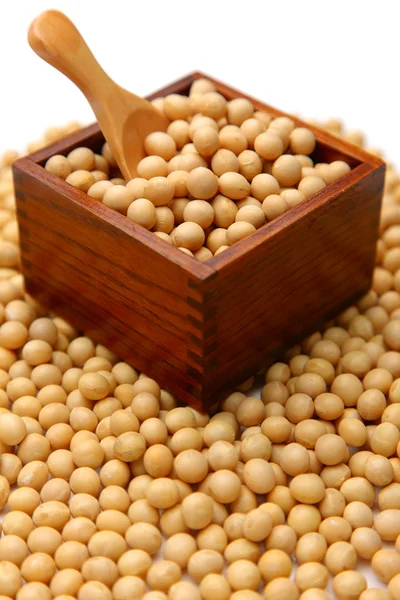Soybeans — Stock Photo, Image