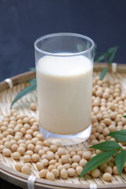 soya sütü
