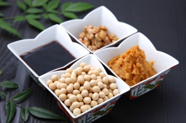 Japon geleneksel soya işlenmiş gıdalar