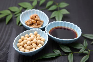 Japon geleneksel soya işlenmiş gıdalar