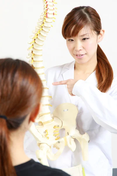 Chiropractor ใช้แบบจําลองพลาสติกเพื่ออธิบาย — ภาพถ่ายสต็อก