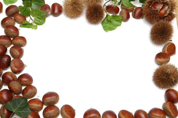 Chestnuts frame — Stock Photo, Image