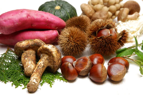 Autumn foods — Stock Photo, Image