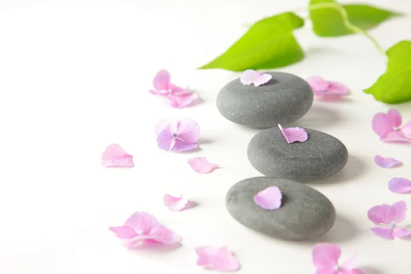 Therapy stones — Stock Photo, Image