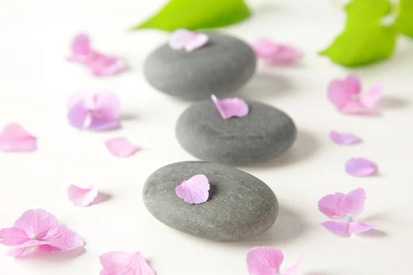 Therapy stones — Stock Photo, Image