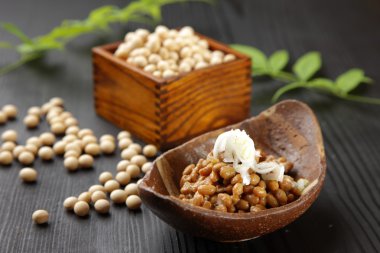 Fremented soya fasulyesi Natto