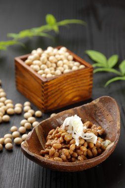 Fremented soya fasulyesi Natto