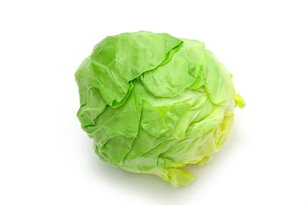 Cabbage — Stock Photo, Image