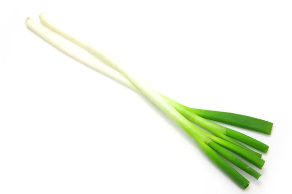 Scallion — Stock Photo, Image