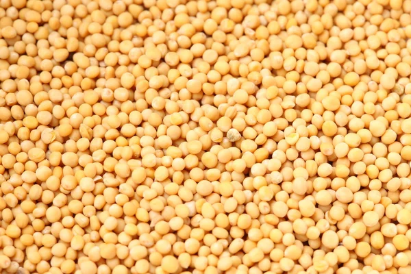 Mustard seeds — Stock Photo, Image