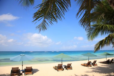 Plaj Resort