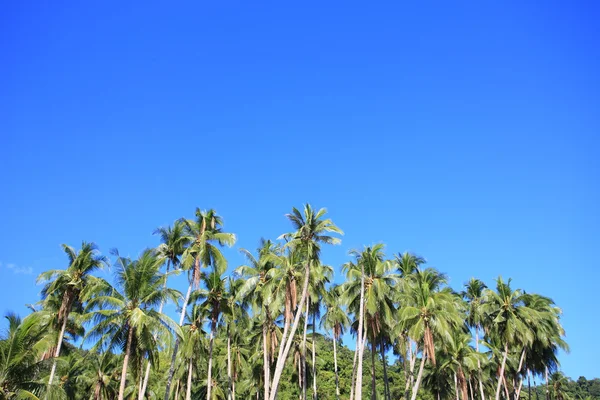 Tropische Insel — Stockfoto