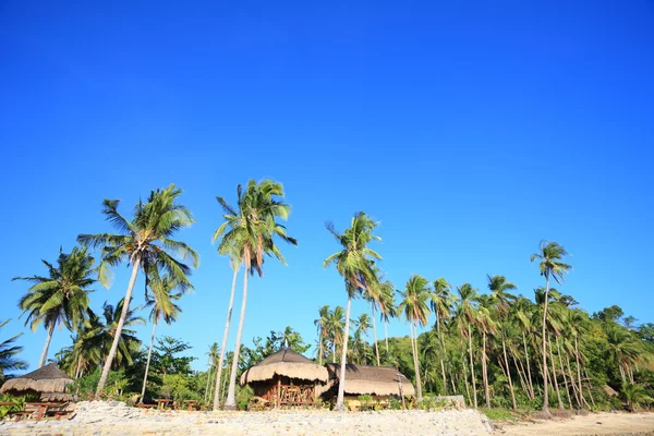 Isola tropicale — Foto Stock