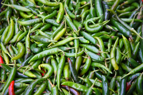 Groene peper — Stockfoto