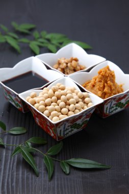 Japon geleneksel soya işlenmiş gıdalar