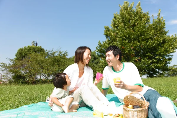 Familiy Picnic — Stock Photo, Image