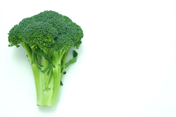 Broccoli — Stock Photo, Image