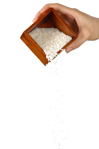 Japanese rice — Stock Photo, Image