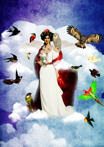 Koningin Der Vogels Zit Boven Wolken — Stockfoto