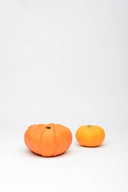 Beyaz arkaplanda çeşitli balkabakları