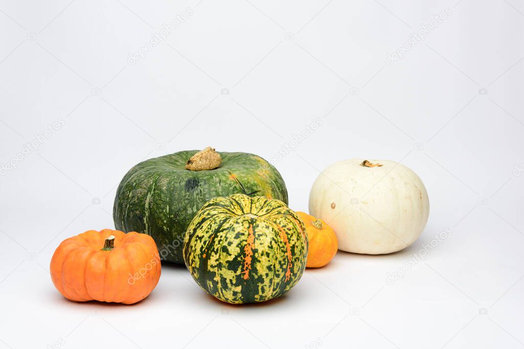 Various pumpkins on a white background