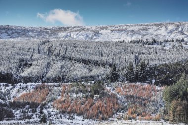 İngiltere, Galler 'deki Brecon Beacon' da kış kar manzaraları