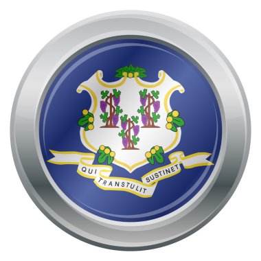 Connecticut bayrak simgesi gümüş