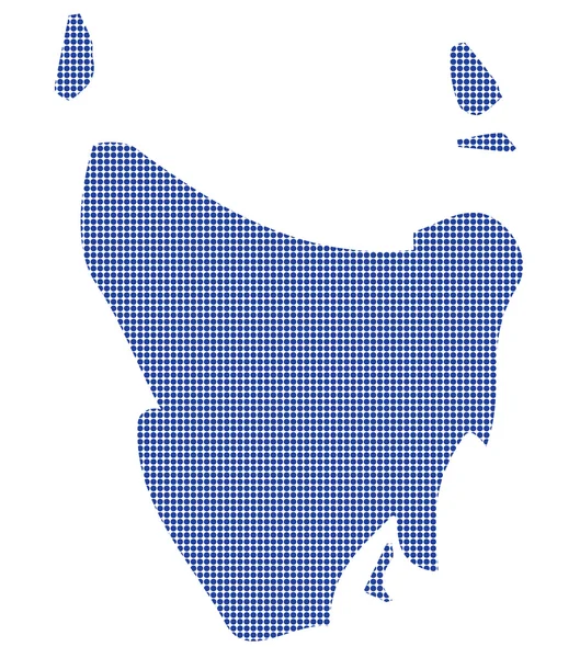 Tasmánie Austrálie Dot mapa v modrém — Stockový vektor