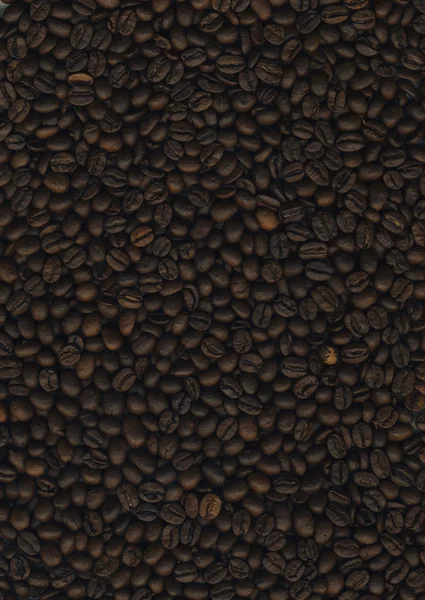 Kawa w ziarnach wielu — Zdjęcie stockowe
