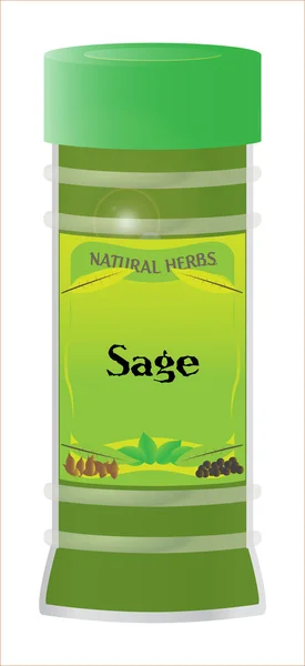 Sauge — Image vectorielle