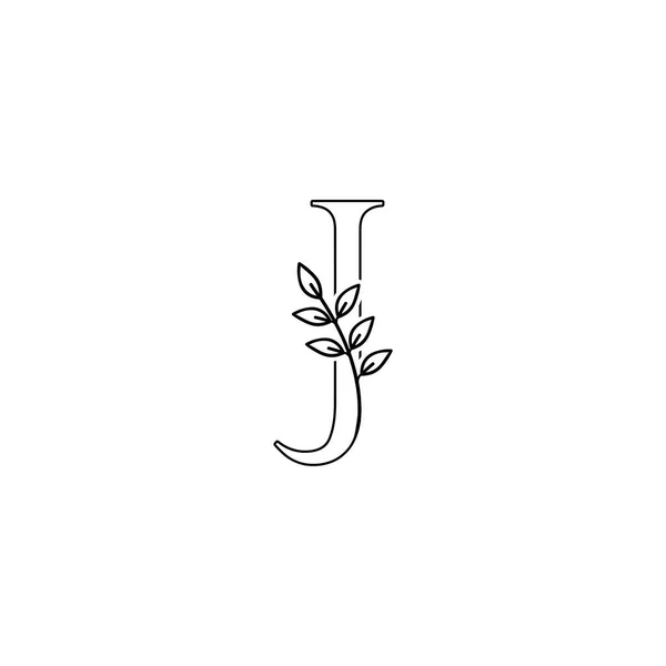 Aperçu Icône Logo Lettre Initiale Monogramme Nature Floral Folioles Vectoriel — Image vectorielle