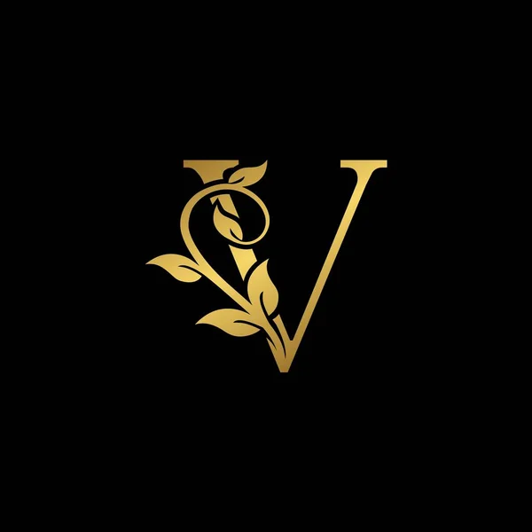 Altın Vintage Harf V Nature Floral Leaves logo simgesi. Zarif lüks tasarım kavramı çiçek yaprakları üzerinde V harfi altın rengi izolasyon siyah arkaplan rengi.