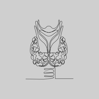 Tiroid bezi, gırtlak ve soluk borusu sürekli çizilmiş. Bu minimalist anatomik illüstrasyon tıp, eğitim veya sağlık projeleri için mükemmeldir..