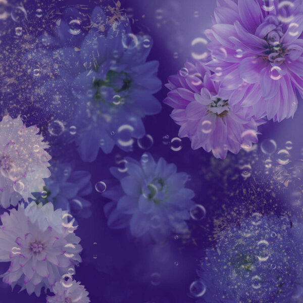 Purple background, purple, beauty, painting, bubbles.
