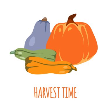 Sonbahar balkabağı kartı Şükran Günü vektörü yakın plan