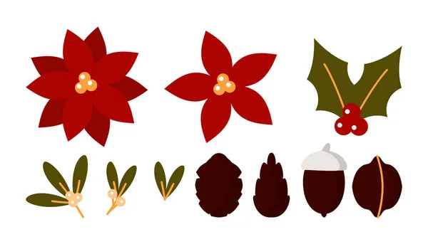 Ensemble vecteur plat cône poinsettia fleur de Noël — Image vectorielle