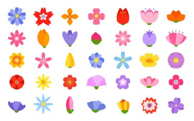 Düz bahar çiçeği renkli ikon vektörü seti