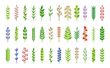 Çevre yeşili yaprak yaprağı çiçek vektörü seti