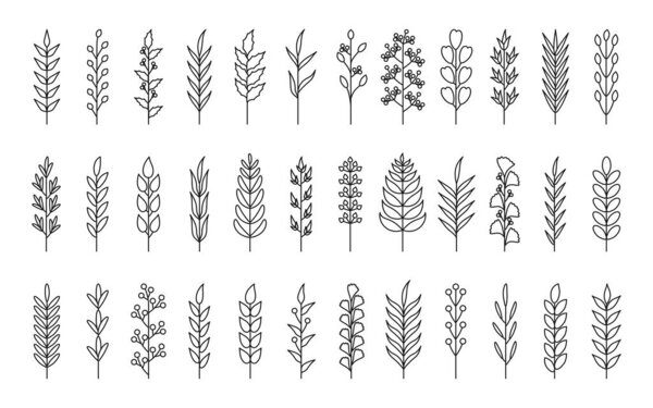 Black outline laurel branches pen leaf vector set