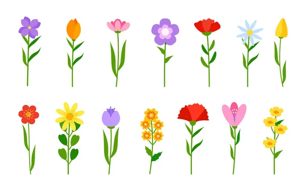 Frühling Blumen Tulpe Cartoon grünen Stiel Vektor-Set Stockillustration