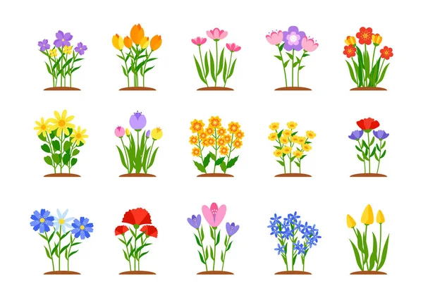 Jardín de primavera macizos de flores estilo plano vector conjunto — Archivo Imágenes Vectoriales