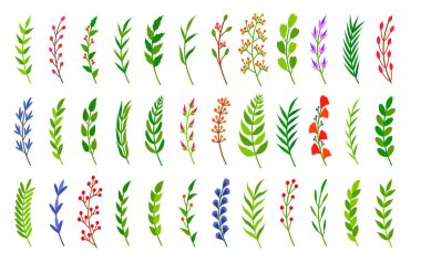 Eğimli yeşil siluet defne dalları vektörü belirler