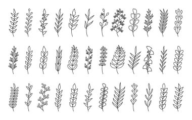 Kavisli ağaç yaprağı dalları vektörü belirler