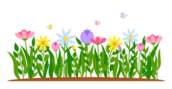 Άνοιξη σύνορα λουλούδι τουλίπα διάνυσμα γρασίδι κινουμένων σχεδίων — Διανυσματικό Αρχείο