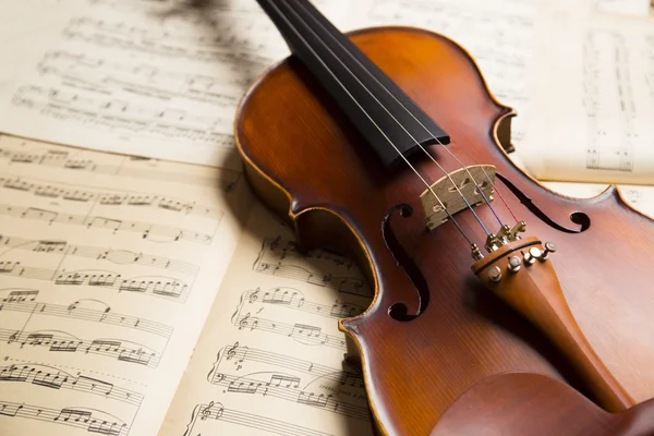 Velho violino de madeira — Fotografia de Stock